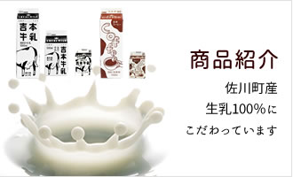 商品紹介　佐川町産生乳100％にこだわっています。
